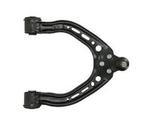 REINHOCH RH04-6046 Braccio oscillante, sospensione ruota