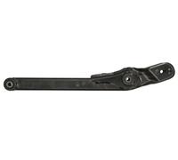 REINHOCH RH05-1005 Braccio oscillante, sospensione ruota