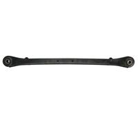 REINHOCH RH05-3048 Braccio oscillante, sospensione ruota