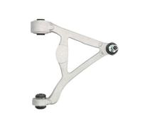 REINHOCH RH05-5014 Braccio oscillante, sospensione ruota