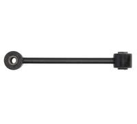 REINHOCH RH06-6010 Asta/Puntone, Stabilizzatore per JEEP