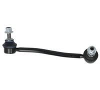 REINHOCH RH06-6019 Asta/Puntone, Stabilizzatore per TESLA