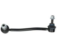 REINHOCH RH06-6020 Asta/Puntone, Stabilizzatore per TESLA