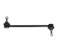 REINHOCH RH06-6022 Asta/Puntone, Stabilizzatore per TESLA