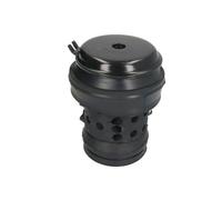 REINHOCH RH11-0005 Sospensione, Motore per SEAT,VW