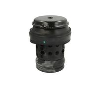 Supporto motore REINHOCH RH11-0013