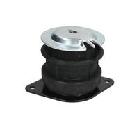 Supporto motore REINHOCH RH11-0057 destro