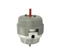 REINHOCH RH11-0098 Sospensione, Motore per AUDI