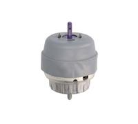 REINHOCH RH11-0099 Sospensione, Motore per AUDI