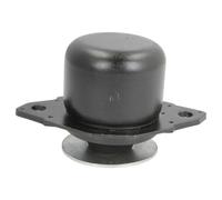 REINHOCH RH11-0108 Supporto motore