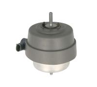 REINHOCH RH11-0141 Supporto motore Supporto idraulico Sx, Anteriore