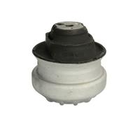Supporto motore REINHOCH RH11-3000