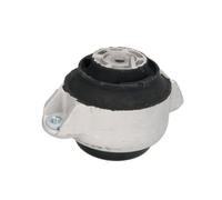 Supporto motore REINHOCH RH11-3042