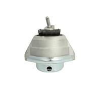 REINHOCH RH11-3050 Sospensione, Motore per BMW