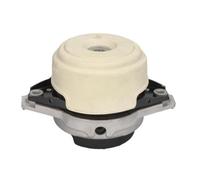 Sospensione, Motore REINHOCH RH11-3103 per GLS (X166) 3.0 2015-2019