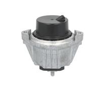 REINHOCH RH11-3173 Sospensione, Motore per BMW