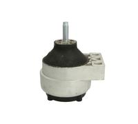 REINHOCH RH11-4007 Sospensione, Motore per FORD