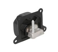 Supporto motore REINHOCH RH11-5024
