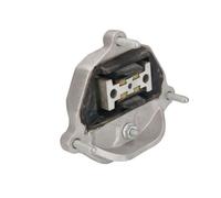 REINHOCH RH12-0031 Supporto, Cambio automatico