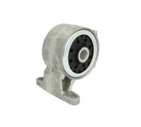 REINHOCH RH12-4000 Sospensione, Motore per FORD