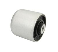 REINHOCH RH14-0049 Supporto, Braccio oscillante per AUDI