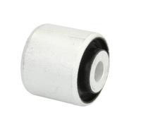 REINHOCH RH14-0053 Supporto, Braccio oscillante per AUDI