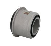 REINHOCH RH14-1011 Supporto, Braccio oscillante per IVECO