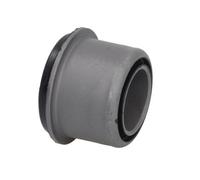 REINHOCH RH14-1045 Supporto, Braccio oscillante per IVECO