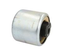 REINHOCH RH20-4002 Supporto, Corpo assiale per FORD