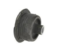 REINHOCH RH20-5007 Supporto, Corpo assiale per OPEL