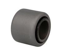 REINHOCH RH58-6001 Bronzina cuscinetto, Molla a balestra