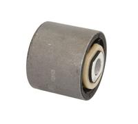 REINHOCH Supporto Braccio Oscillante Anteriore Inferiore Frontale per Opel Omega