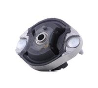 REINHOCH Supporto Cambio automatico RH12-0016