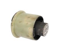 REINHOCH Supporto Corpo Assale Posteriore Doppio Per Renault Scénic III