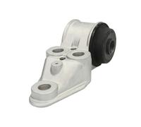 REINHOCH Supporto Corpo Assale Posteriore Sinistra per VW Passat Variant 3B6 1.9