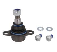 REINHOCH Testina braccio oscillante per BMW X5 (E53) Anteriore inferiore