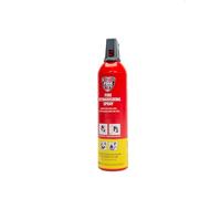 ReinoldMax Piccolo estintore per auto, mini estintore per barca, estintore per camper, estintore elettrico, Aerosol 5 in 1 per tutti gli incendi, estintore commerciale, estintore ad acqua da 750ml