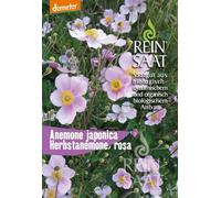 ReinSaat Anemone Autunnale Bio - 1 conf.
