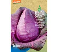 ReinSaat Cavolo Rosso - Kalibos - 1 conf.