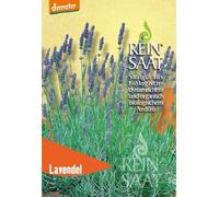 ReinSaat Lavanda - 1 conf.