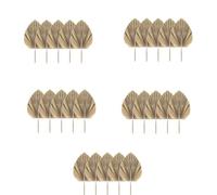 Reinscer 25 Pezzi di Foglie di Palma Essiccate Naturali Ventagli di Palma Essiccati Tropicali Boho Foglie Secche Decor per la Cucina di Casa Matrimonio