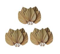 Reinscer Decorazioni per la Camera con Foglie Palma Essiccate 15 Pezzi - 45,7 cm Altezza x 25,4 cm Larghezza Grande Decorazione nel Foglia Palma Naturale per Un Bellissimo Look Boho