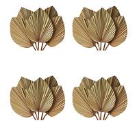 Reinscer Decorazioni per la Camera con Foglie Palma Essiccate 20 Pezzi - 45,7 cm Altezza X 25,4 cm Larghezza Grande Decorazione nel Foglia Palma Naturale per Un Bellissimo Look Boho
