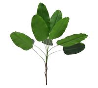 Reinscer Piante Cattinali Fiore Tropicale Banane Foglia di Palma Foglia della pianta Fioriera Interno Esterno Giardino Matrimonio
