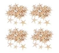 Reinscer Piccolo Starfish Star Sea Shell Beach Craft da 0,4 Pollici A 1,2 Pollici 360 Pezzi
