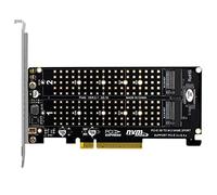 Reinscer Scheda PCI-E X8 Double Disk Card NVME M.2 M Key adattatore di espansione SSD