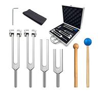 Reinscer - Set di 4 forchette per la guarigione dei chakra, forchetta per il corpo, antistress, confezione