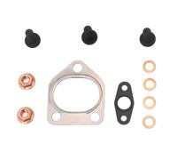 REINZ 04-10029-01 Kit montaggio turbocompressore