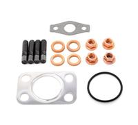 REINZ 04-10043-01 Kit montaggio turbocompressore per FORD C-MAX (DM2)