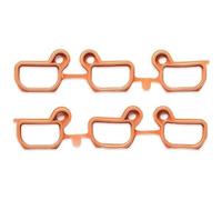 Reinz 11-33074-01 Kit guarnizioni, collettore aspirazione